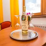 Morava Hotel Znojmo