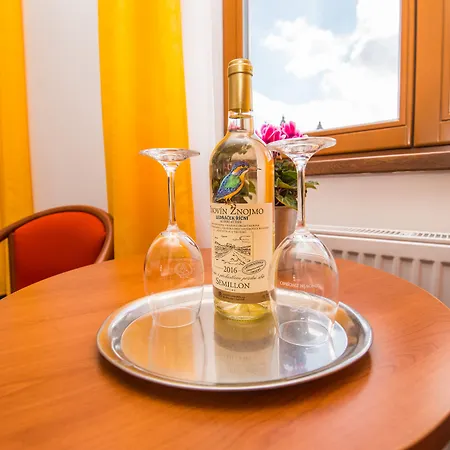 Hotel Morava 3*