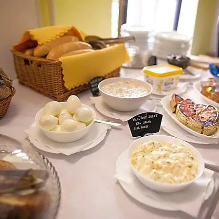 Morava Hotel 3*