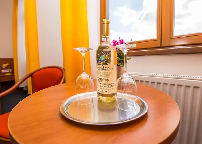 Morava ホテル ズノイモ